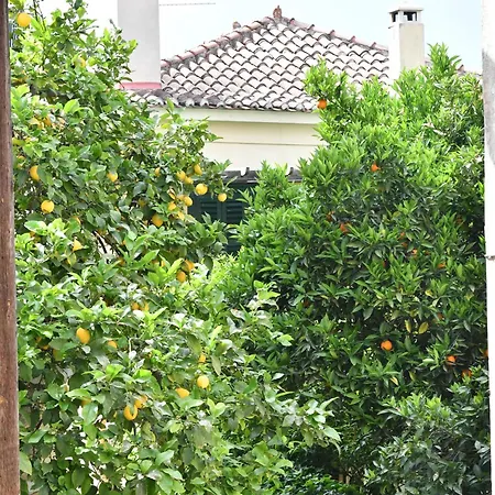 Brancaleone Appartement *