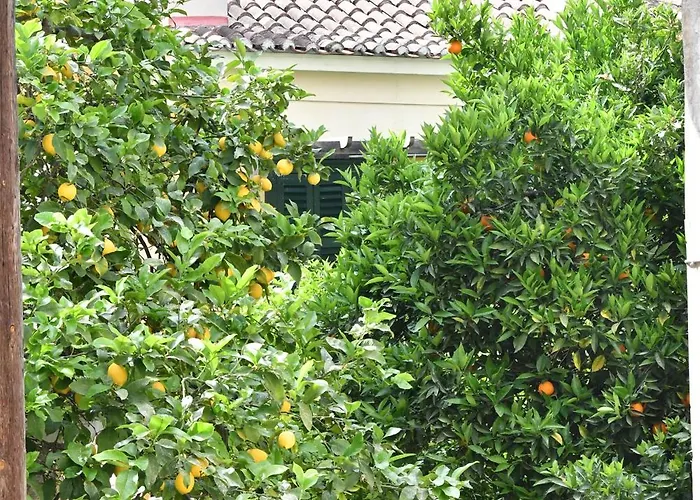 Brancaleone Apartamento *